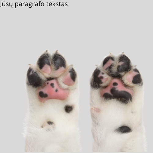 Pėdutėms