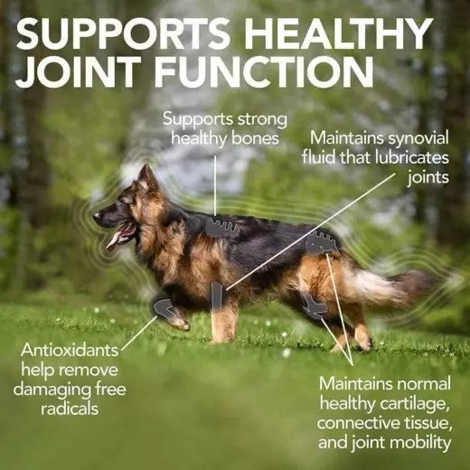 VET‘S BEST ADVANCED HIP & JOIN PAPILDAI STIPRINANTYS SĄNARIUS IR KAULUS, N60