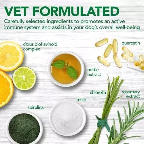 VET‘S BEST IMMUNE SUPPORT PAPILDAI STIPRINANTYS IMUNITETĄ, N60