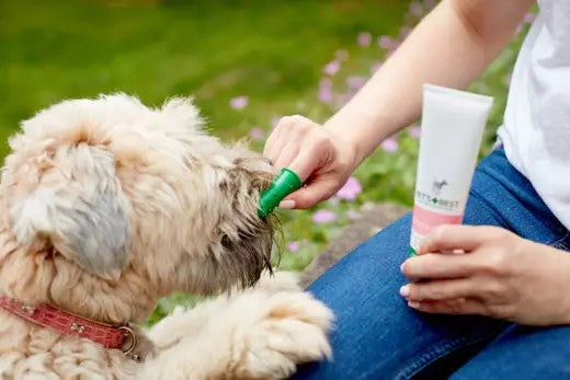 VET'S BEST PUPPY DANTŲ PRIEŽIŪROS RINKINYS MAŽIEMS ŠUNIUKAMS