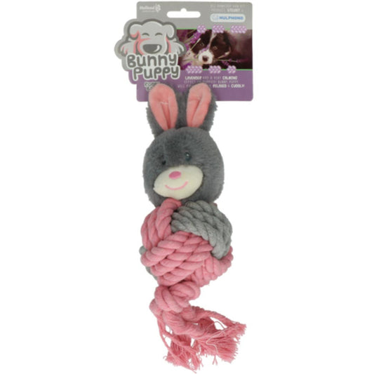 Pliušinis, virvinis triušiukas - Bunny Puppy