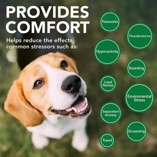 VET‘S BEST COMFORT CALM PAPILDAI MAŽINANTYS NERVINGUMĄ IR STRESĄ, N60